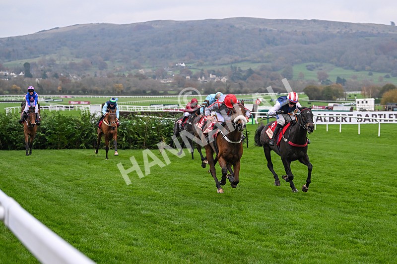 151124-Race 4-Sweet David-8227 - Race 4