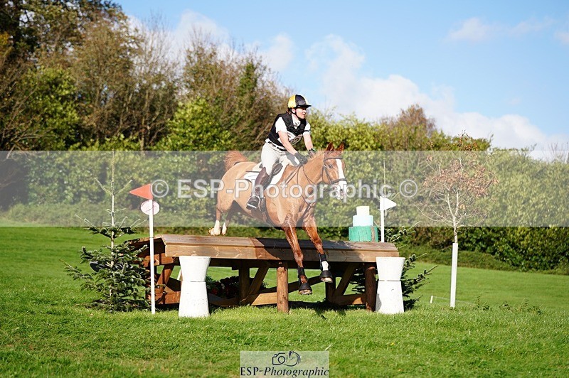 241026-141024-13938 - 502-Alison.Stewart-RICO.III