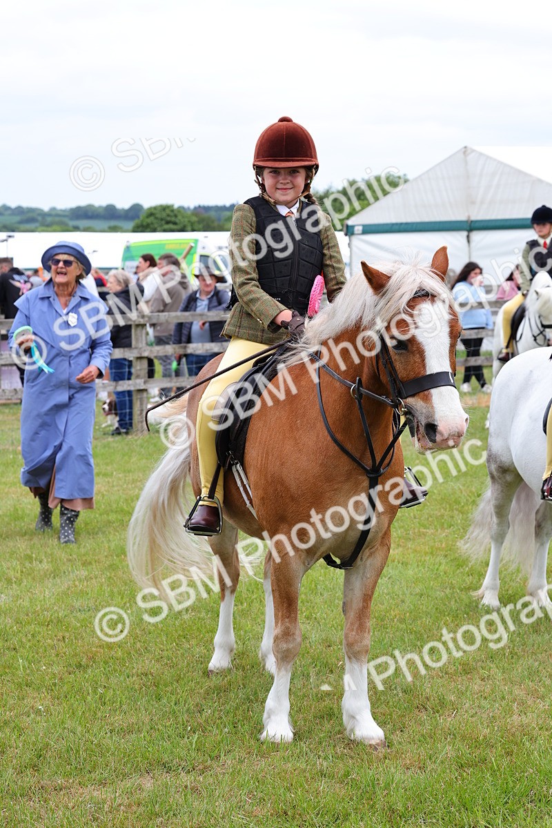 SBM_08862 - Class 42-43 - LIHS BSPS Heritage Working Sports Pony