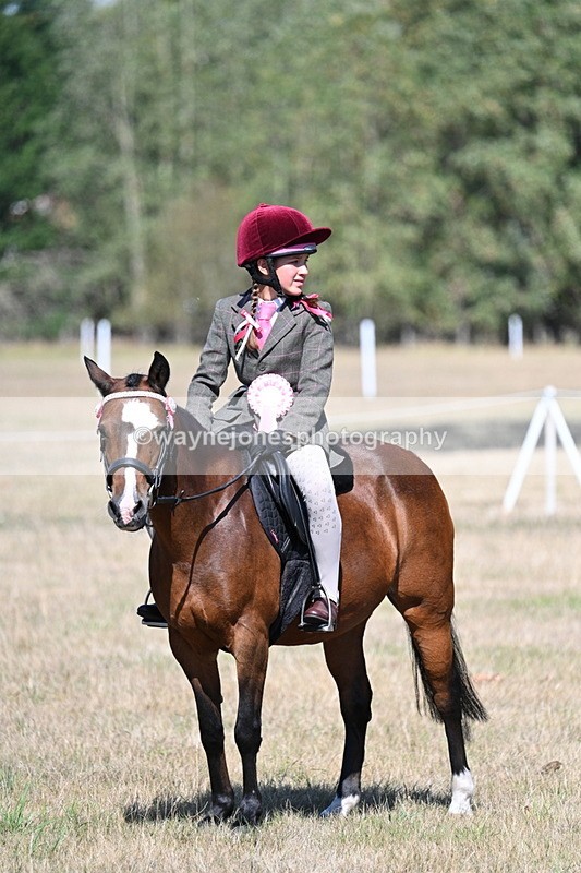 WJ7_4203 - Class 9 Mountain & Moorland Ridden