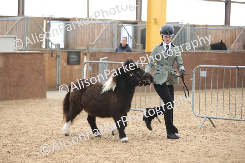 20251109-0224 - Class 11 - 2 and 3 Year Old