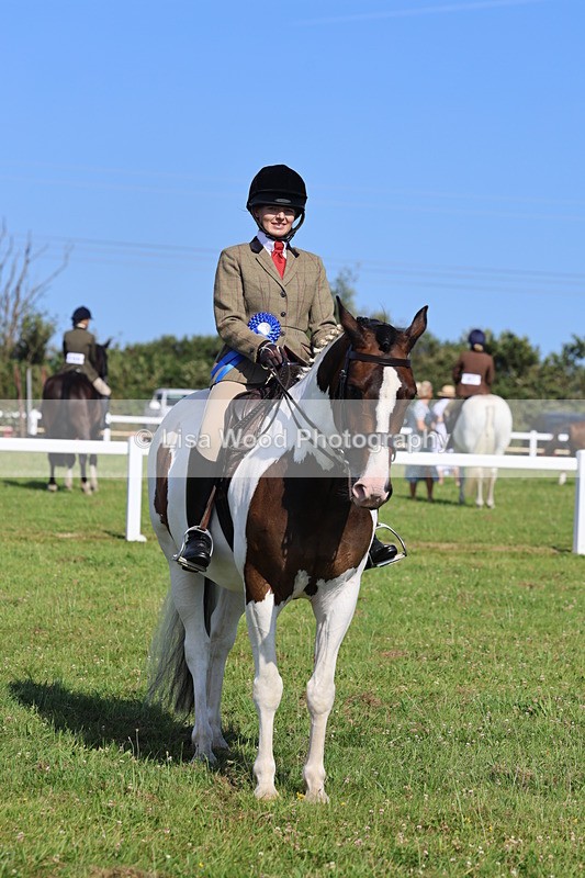 IMG_1669 - Skewbald and Piebald Ridden Championship