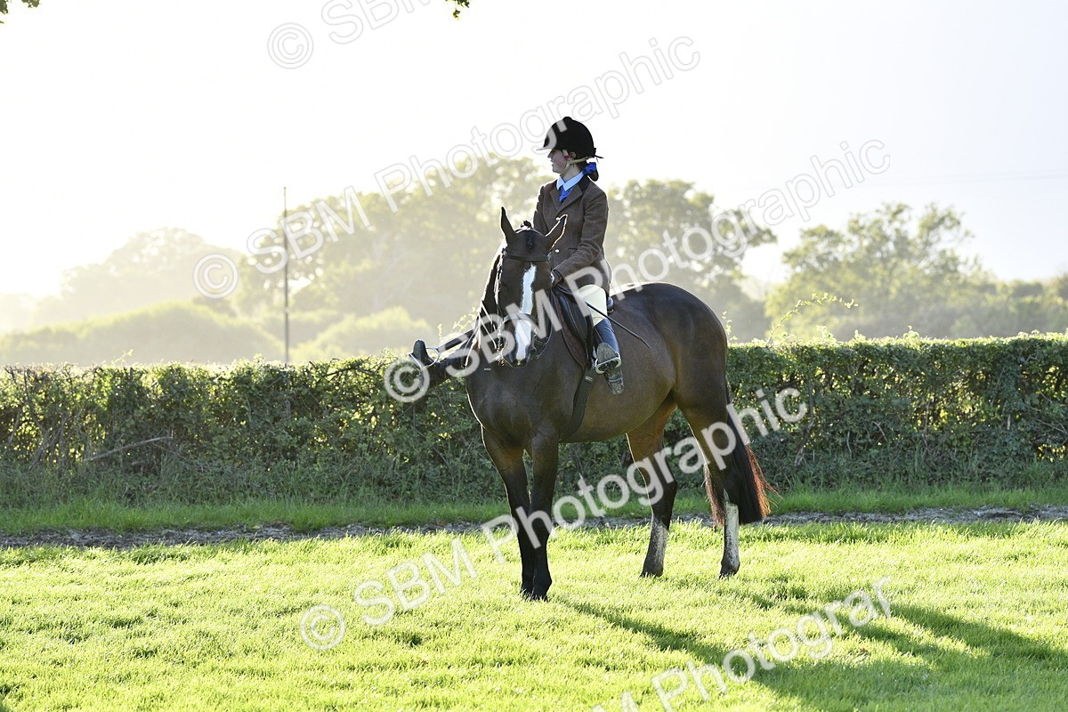 SBM_53571 - S14 - Riding Club Horse