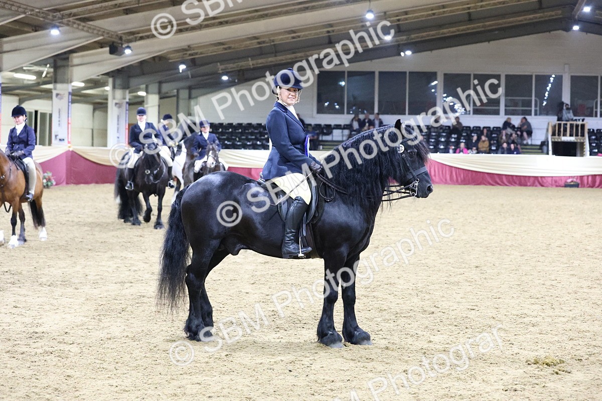 SBM_21415 - Class T - Working Veteran Champs