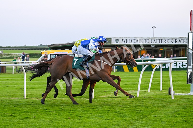 310524-Race 6-Mister Sox-9067 - Race 6