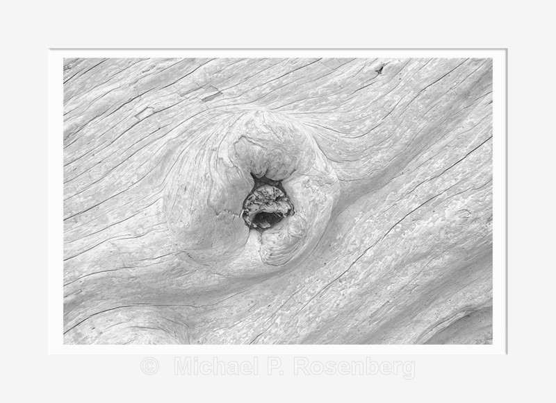 Driftwood #70, Rialto Beach WA (2014/D00770) - CALIFORNIA, OREGON, AND WASHINGTON STATES