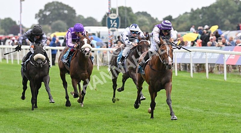 200826-158 Mia Fantasia - Race 6 16.45pm Mews Hotel Ossett EBF Stallions Nursery Handicap