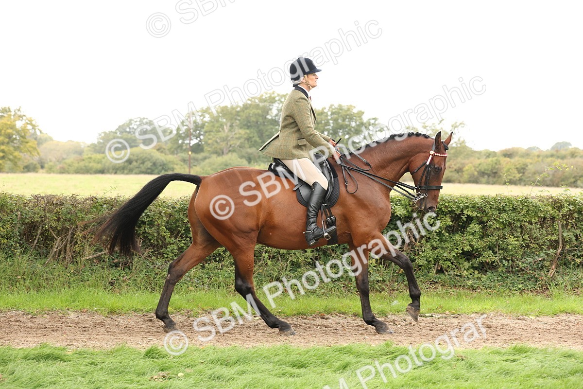 SBM_64204 - S65 - Riding Horse & Hack & Thoroughbred Ridden