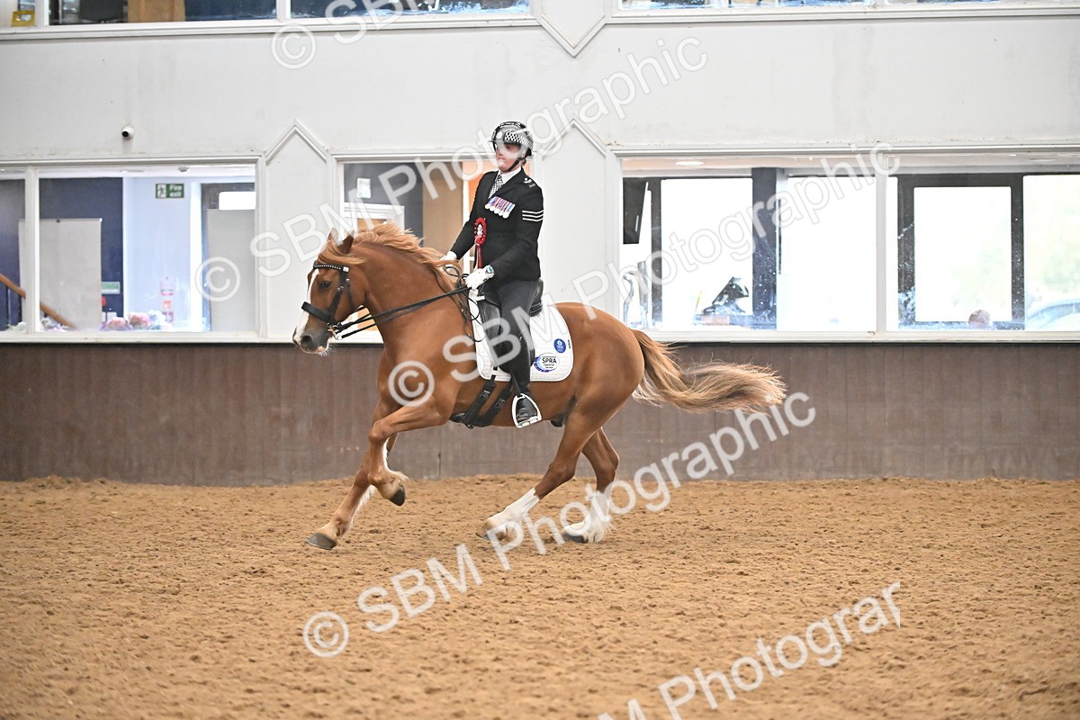 SBM_002750 - Ridden Showing Supreme Championships