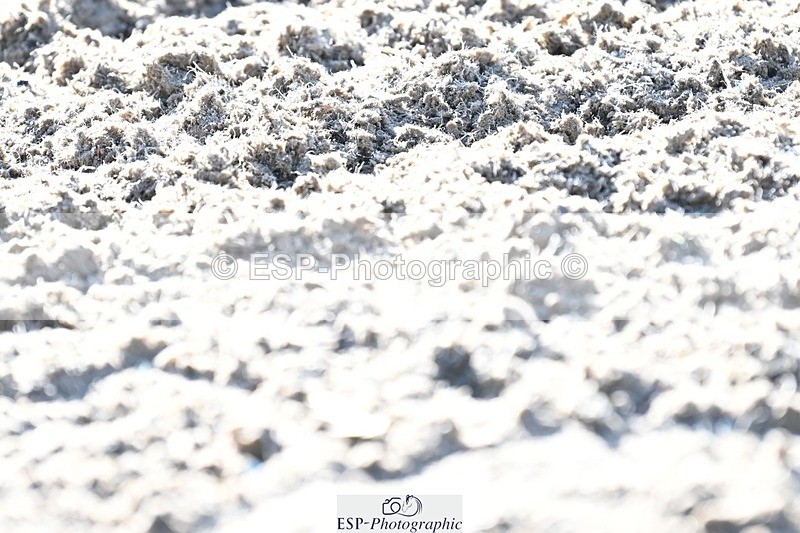 231110-124037-00761 - Cls 3 Novice 22