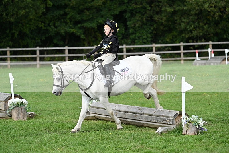 WJ7_3788 - 40cm Time 10:26 to 10:42