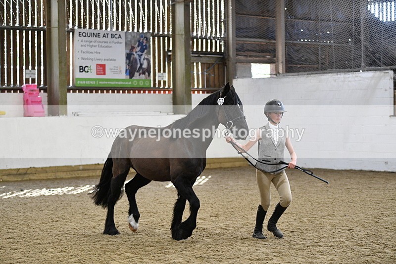 WJ5_4557 - Class 3 Part Bred In hand