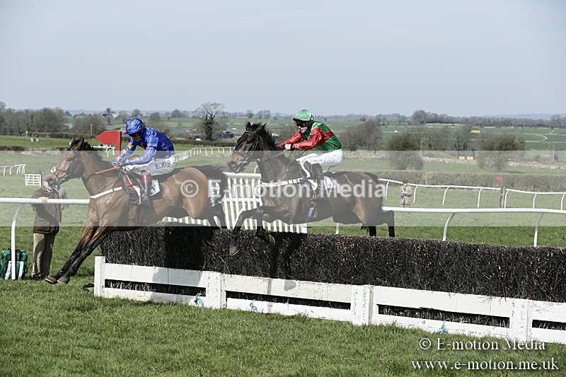 PtP 260317 4 - Mendip Farmers Point-to-Point Ston Easton 26/03/17