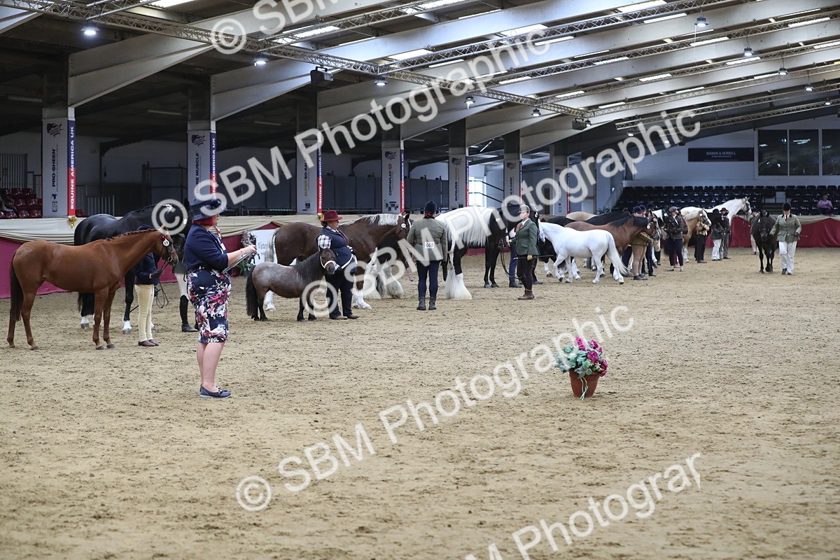 SBM_06400 - Class 9R Regional- IH Pre Vet