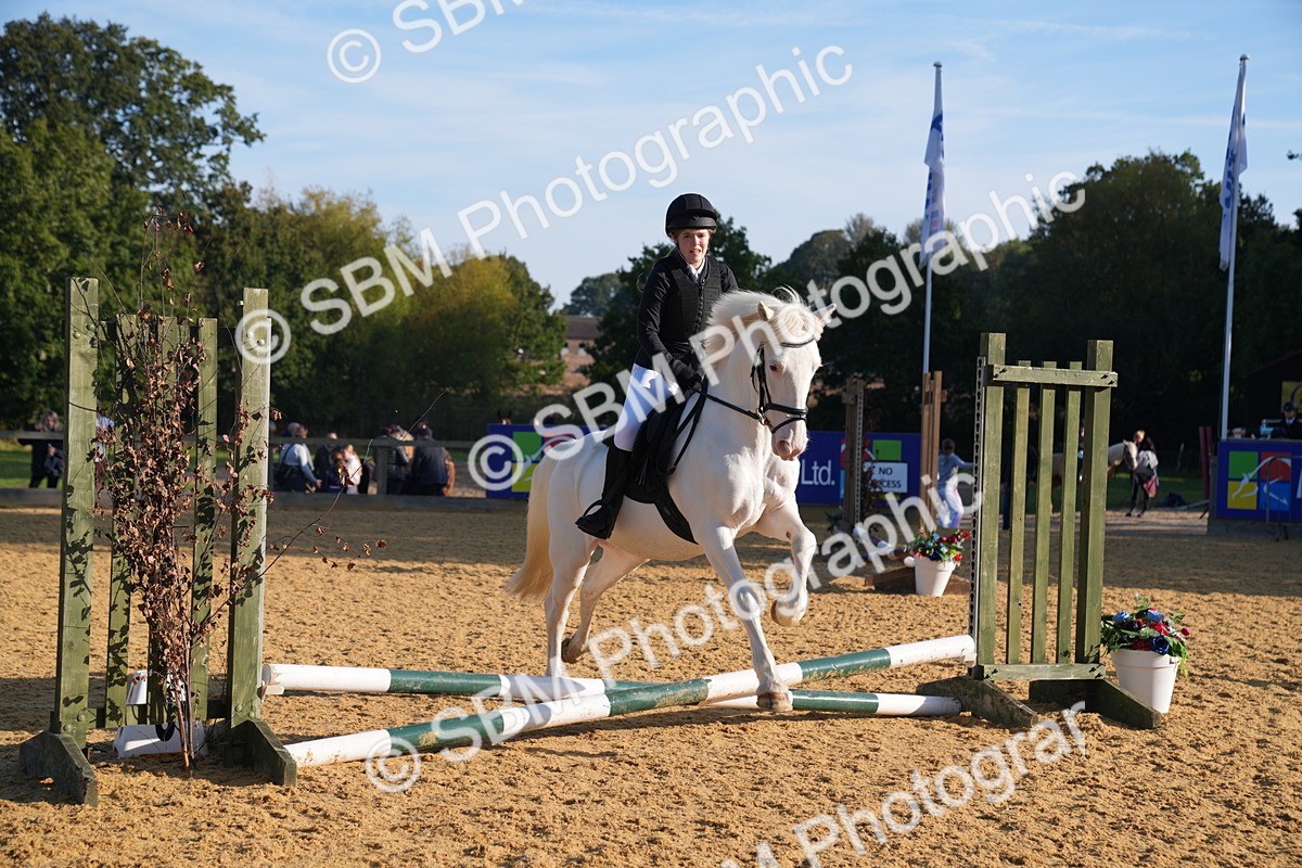 SBM_59046 - J63 - Minis Clear Round 30cm 40cm