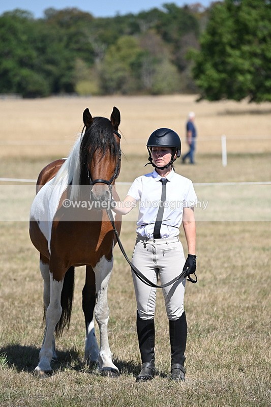 WJ6_8673 - Class 37b Best Loan Pony In-hand