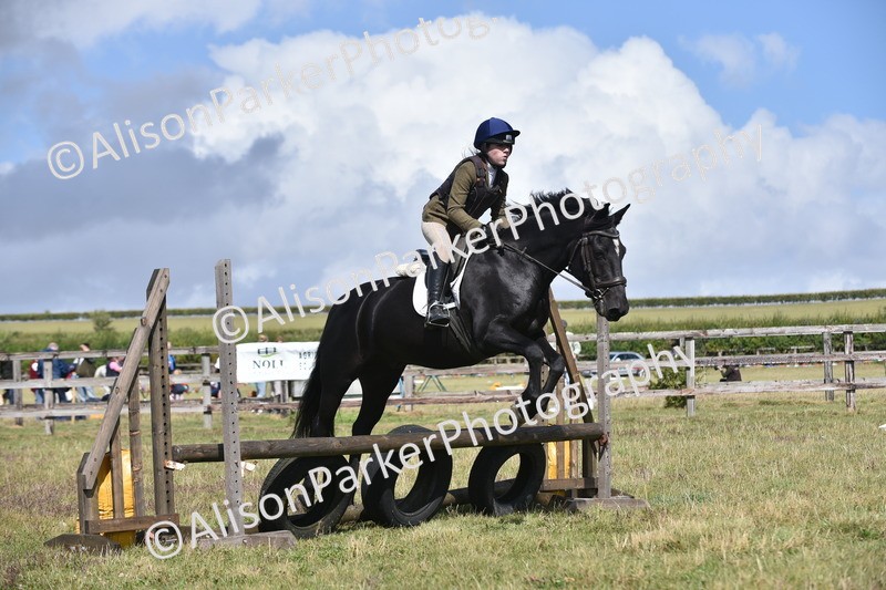 20250831-3983 - Class 12 - Working Hunter Pony 14.2hh and Under