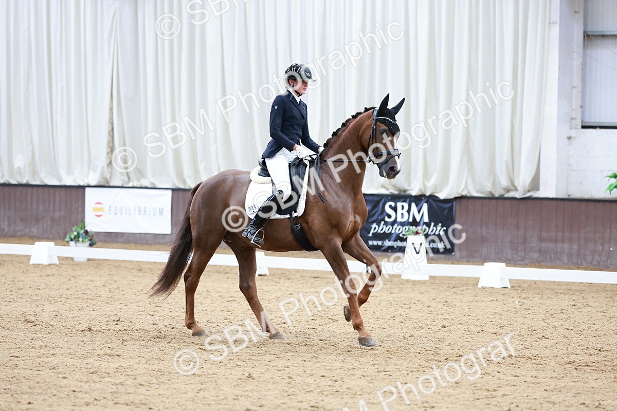 SBM_017950 - Class 15 - FEI Junior