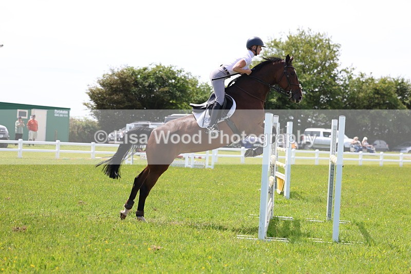 3E7A1356 - Class 12: Senior Foxhunter/1.20 open
