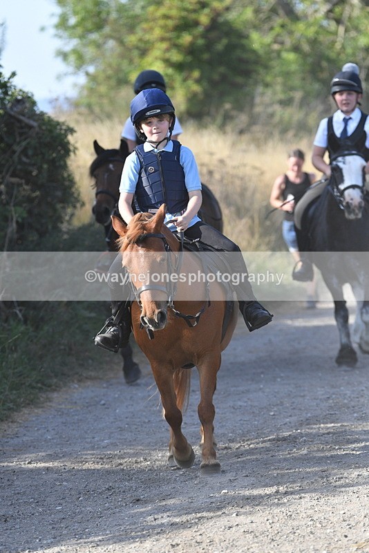 WJ5_5037 - Walk out with the hounds