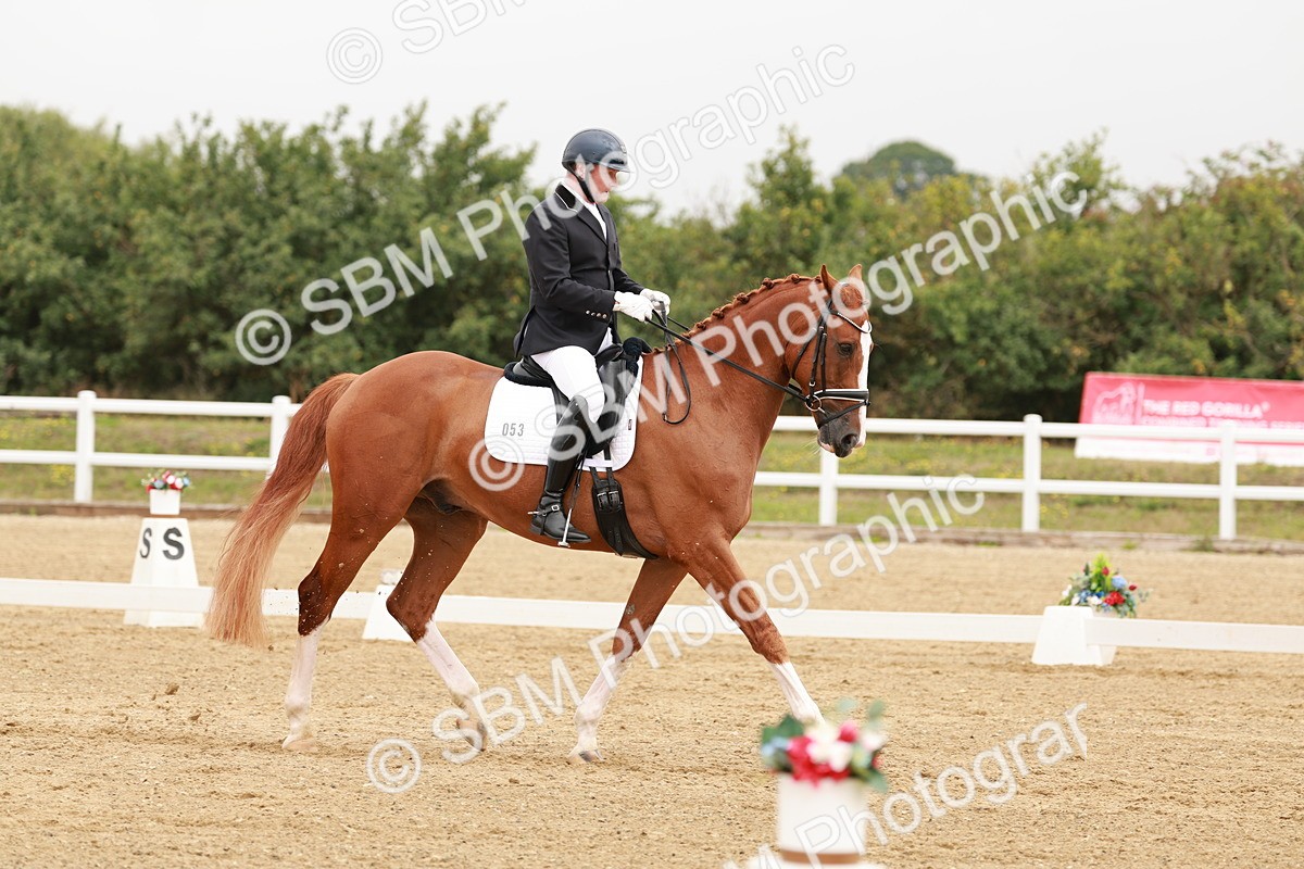 SBM_009365 - Class 12 - Elementary 6 - 10.50-11.50