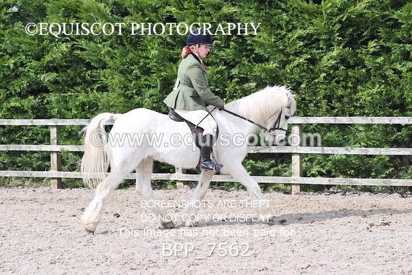 BPP_7562 - RING 1  (RIDDEN HORSES / IN HAND / VETERAN ETC)