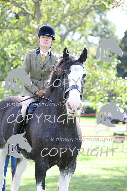 APP_3679 - Class 8 Ridden Class