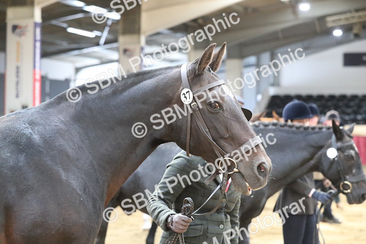 SBM_04416 - Class 7R Regional - IH Diamond