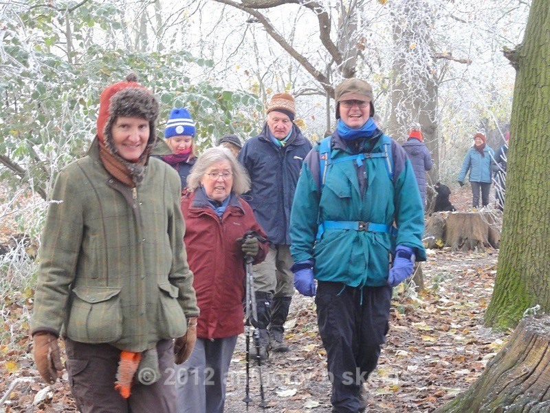 D86 Passing through Pike Wood - York Minster Walkers Collection 2023