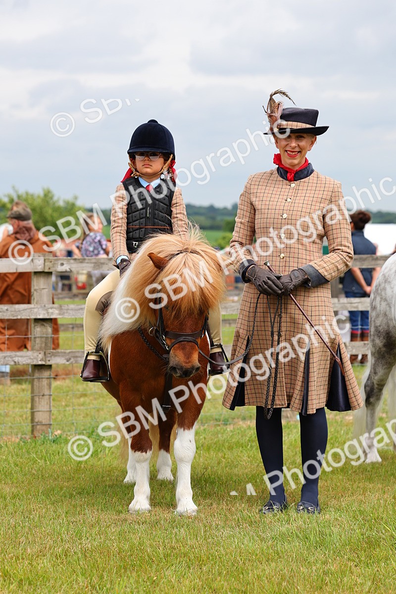 SBM_08309 - Class 42-43 - LIHS BSPS Heritage Working Sports Pony