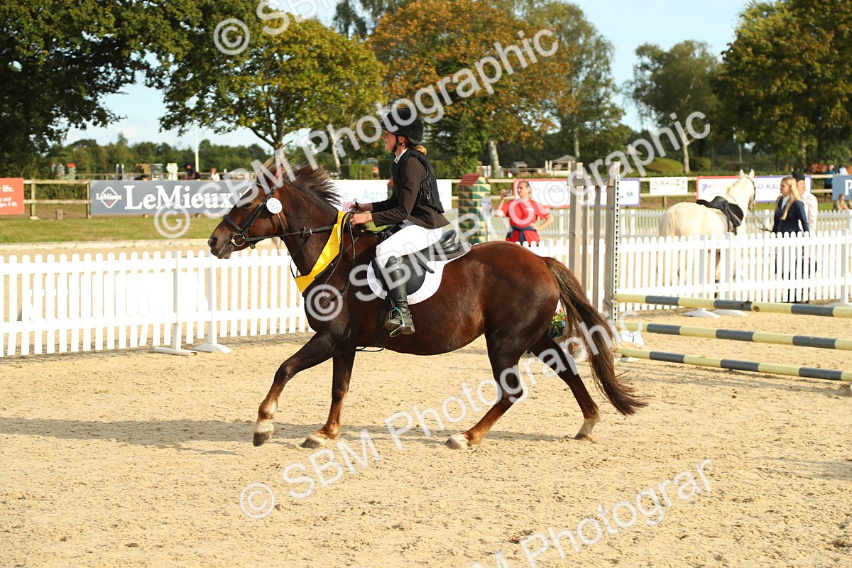 SBM_51779 - J7 - Junior Pony 60cm Championship