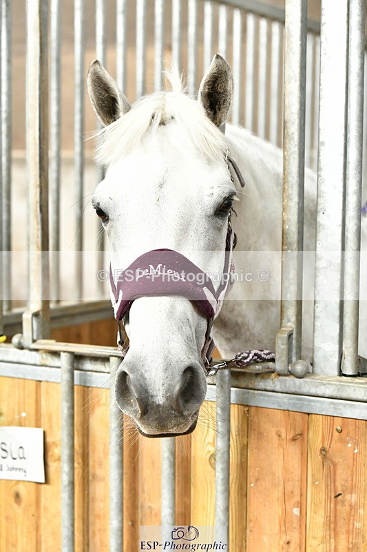 230804A-094401-02177 - Stable Shots