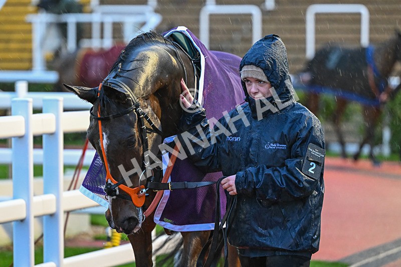 141125-Race 6-Jack Hyde-1061 - Race 6