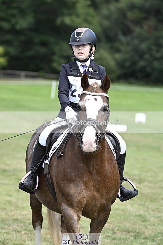 250821A-122946-15562 - DR 11.00 to 12.00