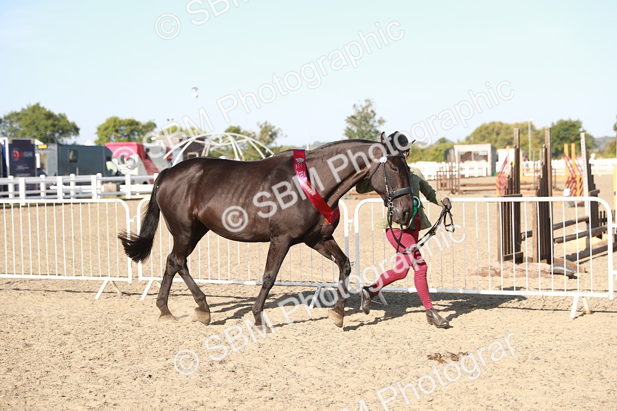 SBM_00174 - Class 40 Best Turned Out IH