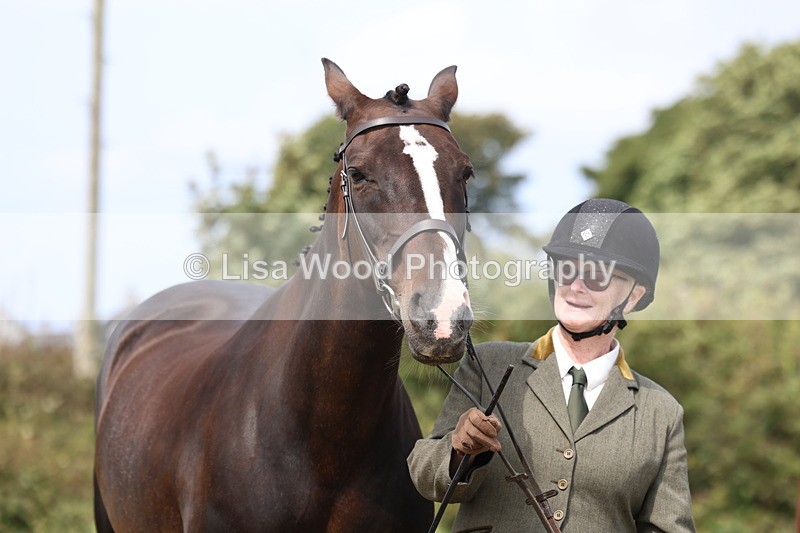 3E7A5595 - Class 20: Sports Horse In Hand