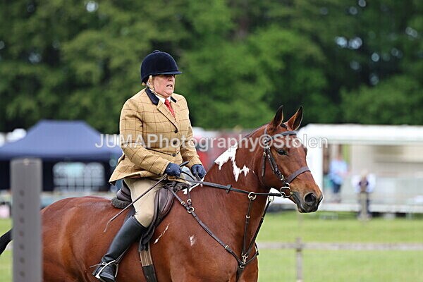 IMG_2802 - Working Hunter