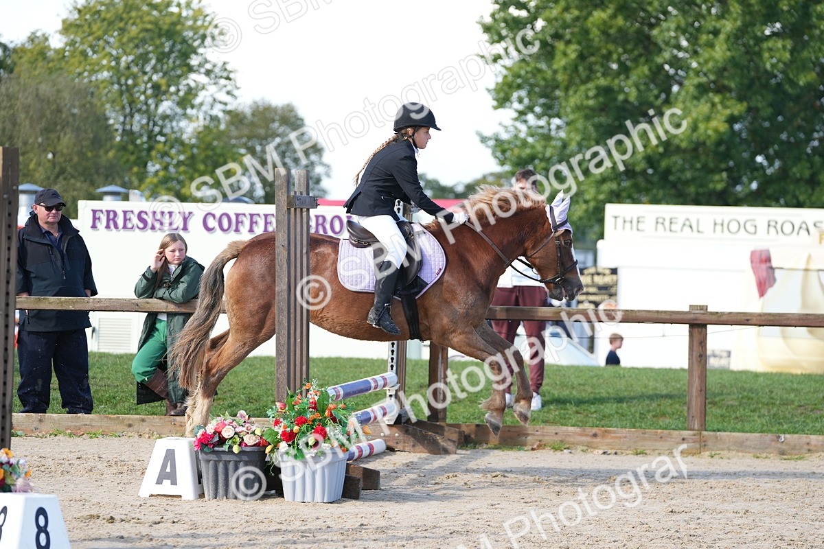 SBM_38253 - J6 - Junior Pony 55cm Championship