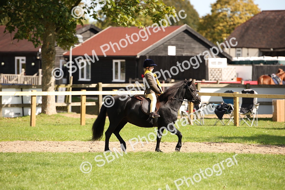 SBM_40898 - Fun Showing Supreme Championship