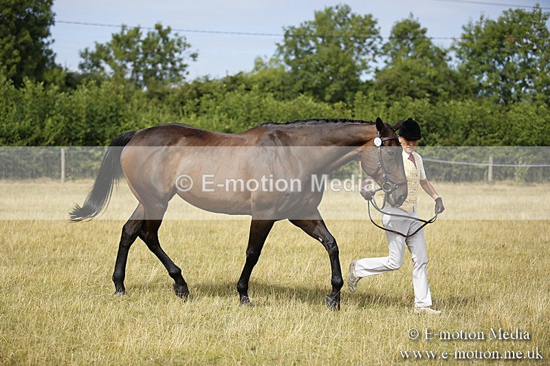 _C7A9357 - BVRC Sow 2018 Ring 2