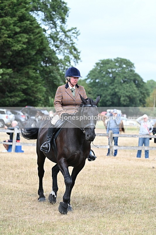 WJ7_1318 - Class 8 Ridden Veterans