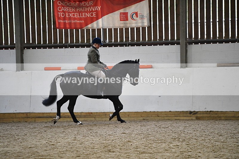 WJ5_7809 - Class 13 Ridden Part Breed