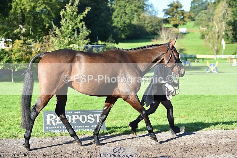 231022-105708-23614 - 501-LA.BASS-Aimee.Bickley-TrotUp+SJ