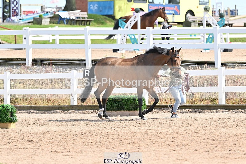 240717A-154925-03072 - Trot Up 3pm to 4pm