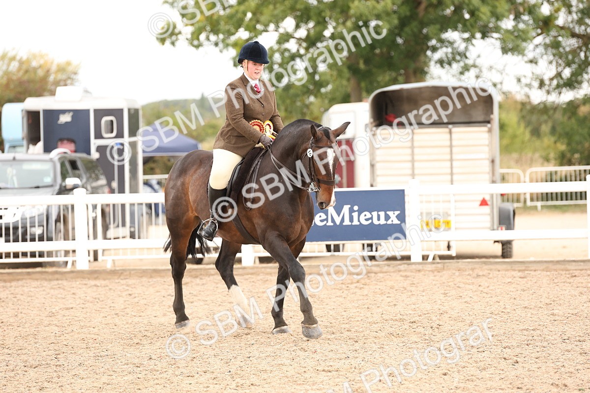 SBM_19611 - Class 215 - Ridden Show cob