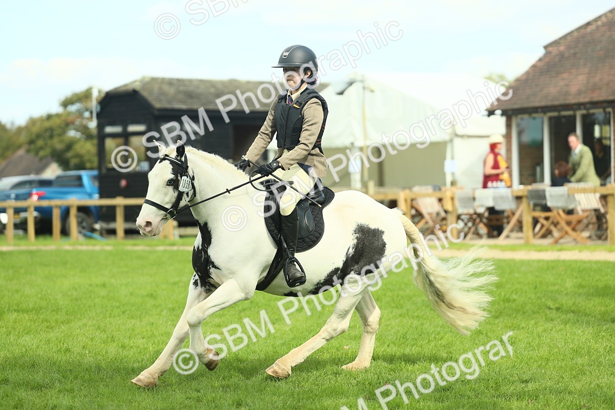 SBM_44705 - S31 - Working Hunter Pony