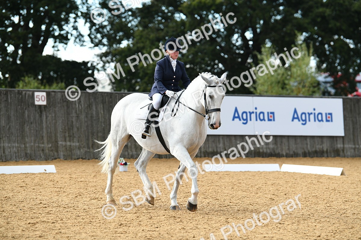 SBM_12504 - D19 Small Tour Championship Elementary 42