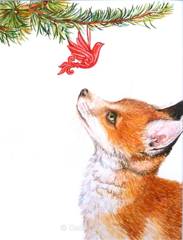 Look don't touch - British Wildlife
