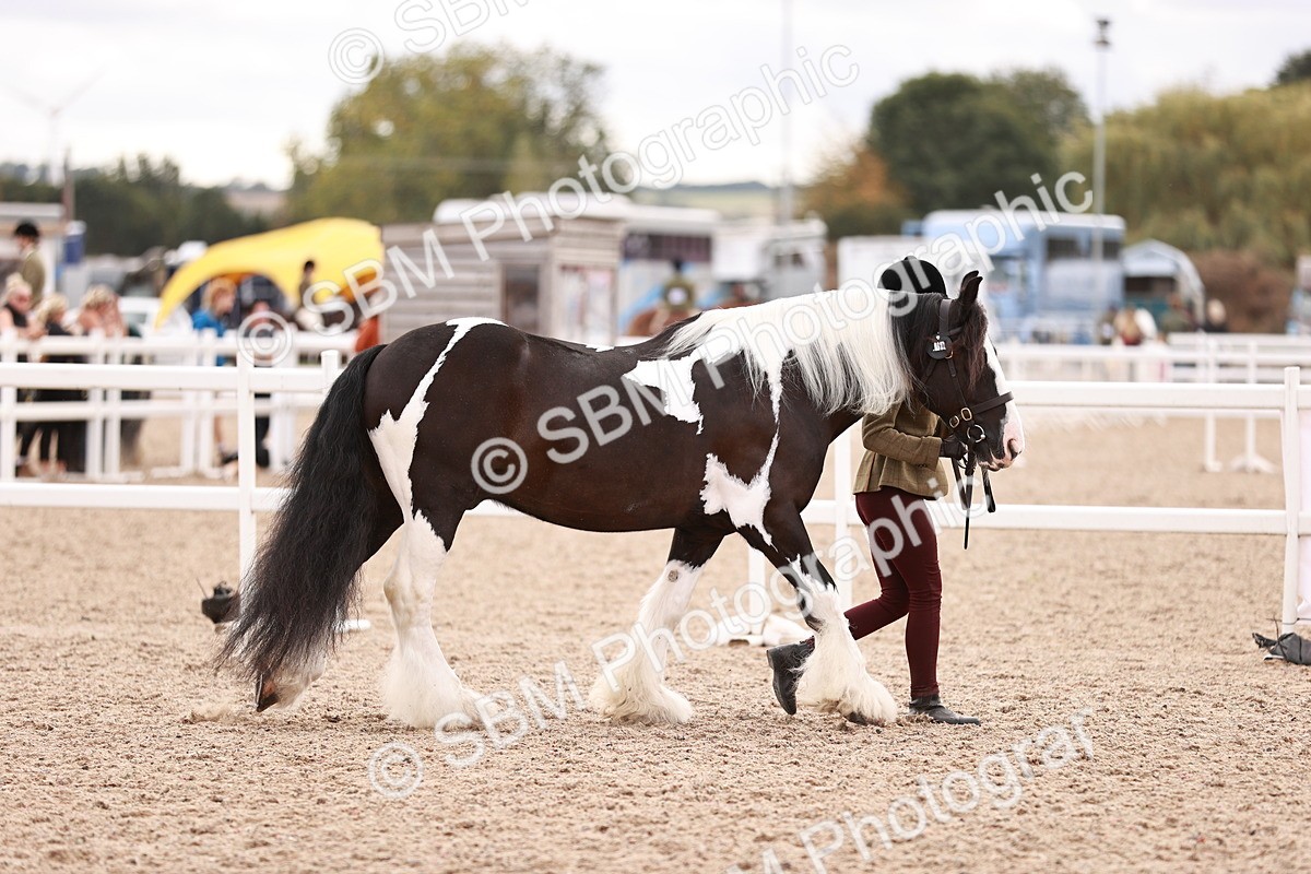 SBM_18428 - Class 419 - Best Maine and Tail - Jnr
