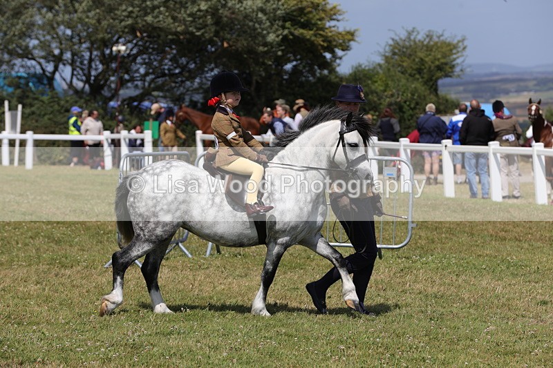 1X9A5241 - Class 36: NPS M&M Lead Rein